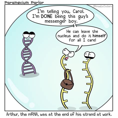 DISGRUNTLED MRNA | Biology humor, Biology jokes, Science humor