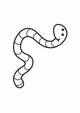 Free Earthworm Coloring Pages  Cool sketch template