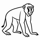 100  Baboon Coloring Pages For Free • Lulu sketch template