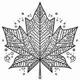 Wonderful Maple Leaf coloring Page  Download Print Or Color Online sketch template