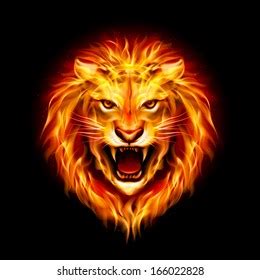 1,379 Orange Fire Lion Images, Stock Photos, 3D objects, & Vectors | Shutterstock