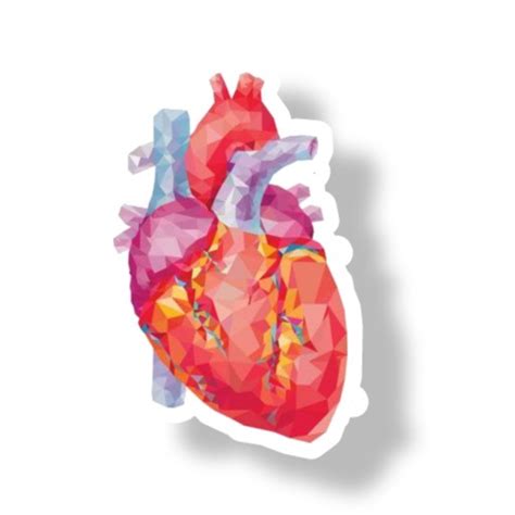 Human Heart Sticker ملصق بشكل قلب الانسان - مسواگ