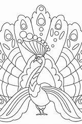 Peacock  Peacocks Coloring Pages For Adults Online sketch template