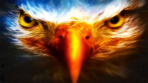 3d Wallpaper Eagle Eyes Widescreen Cool Wallpapers For Pc, Cool Desktop Backgrounds, Cool ...