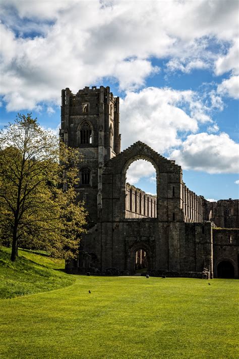 Fountains Abbey, Summer Free Stock Photo - Public Domain Pictures