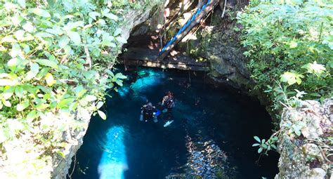 MUST DO: Cenote diving in Tulum, Mexico - The Tiny Travelogue