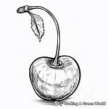 Cherry Coloring Pages  Free & Printable sketch template