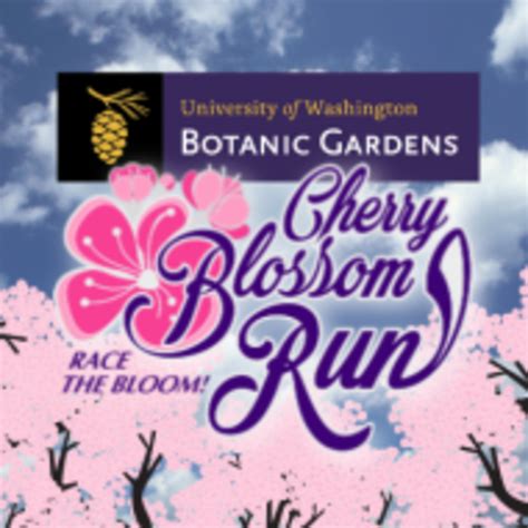 Seattle Cherry Blossom Run 2024 - Claire Kristen