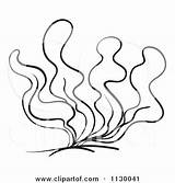 Free Seaweed Drawings Coloring Pages Sketch Page sketch template