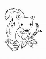 squirrel coloring Page Printable  In The Limelight E Zine Bildergalerie sketch template
