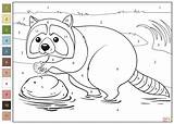 Raccoon Color By Number coloring Page  Free Printable Coloring Pages sketch template