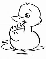 Rubber Duck Coloring Pages Free  Cartoon coloring Animal sketch template