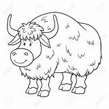 Yak For Colouring Pages Sketch Coloring Page sketch template
