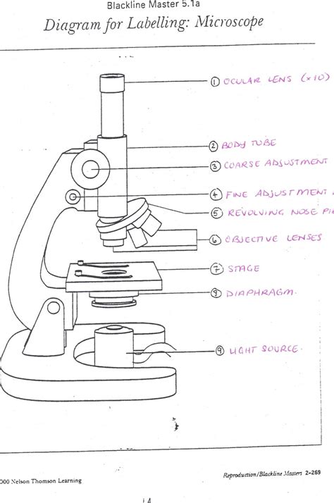 Diagram Of Microscope Parts
