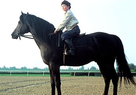 The Black Stallion (1979) Still - Horses Photo (39897573) - Fanpop