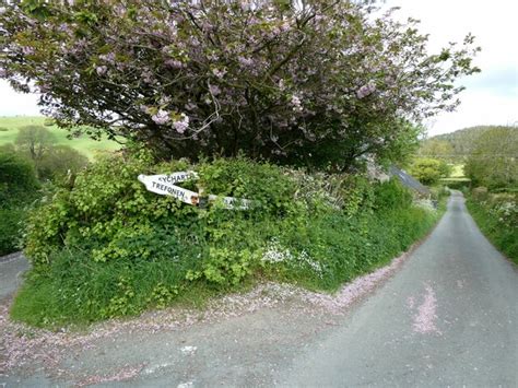 Lane junction with blossom tree and road... © Jeremy Bolwell cc-by-sa/2 ...