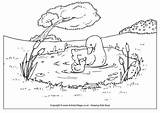 Duck Pond Colouring Page sketch template