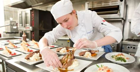 The Complete Culinary School Guide | Accredited Schools Online | Culinary school, Culinary ...