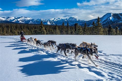 10 Winter Activities In Canmore You Don’t Want to Miss! - Made to Explore