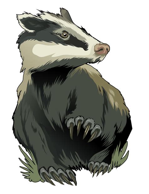 badger clipart free - Clip Art Library