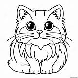 Fluffy Ragdoll Cat Coloring Page 40593 32586 sketch template