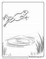 100  Frog coloring Pages Free PDF To Print Woo Coloring sketch template