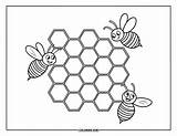 70  Honey Bee Coloring Pages For Kids & Adults Free Printable PDFs sketch template