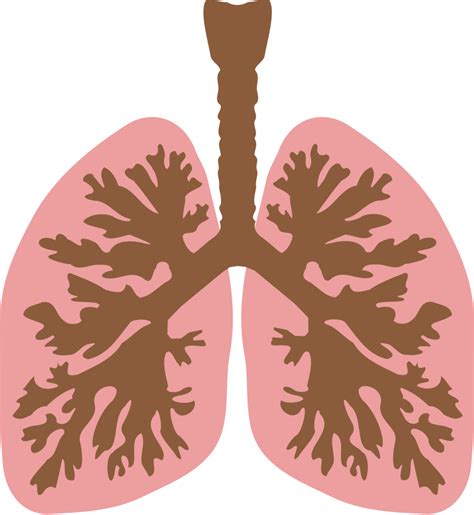 Free COPD Cliparts, Download Free COPD Cliparts png images, Free ...