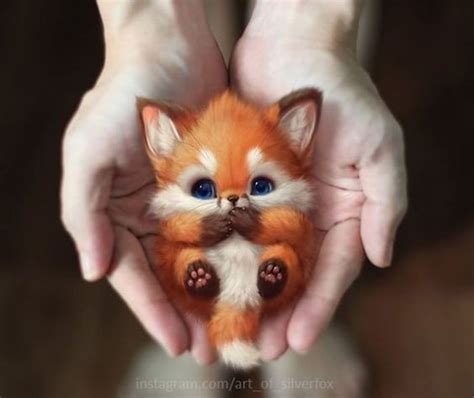 Artist Draws The Most Adorable Looking Animals and Imagines Them Living In Reality | Cute ...