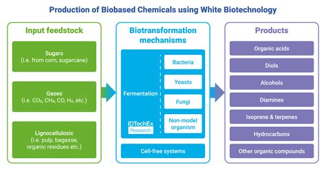 Feature article - How white biotechnology is innovating to advance the global bioeconomy ...