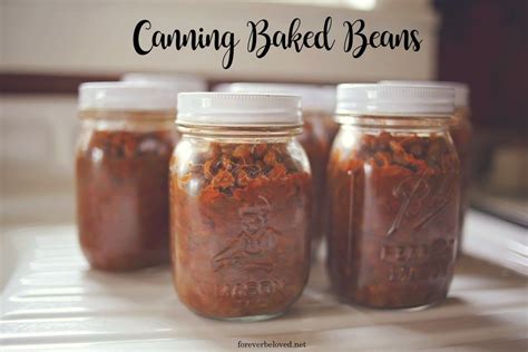 Canning Baked Beans - It's a Bush's copycat recipe and the sauce is out of this world!