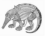 Anteater Coloring Pages  Free Printable sketch template