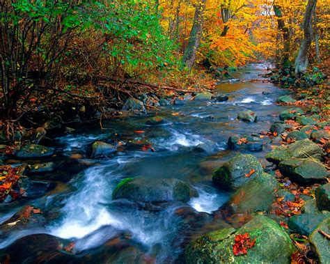 Parc national de Shenandoah-Nature Paysage Fonds d'écran Aperçu | 10wallpaper.com