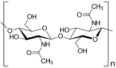 Chemical structure of chitin. | Download Scientific Diagram