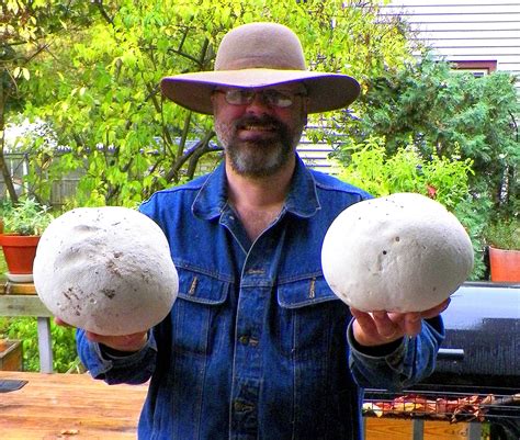 Puffball mushrooms — Creative Sustenance