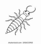 Silverfish Illustration Coloring Page Kids Stock Vector Royalty Free  sketch template