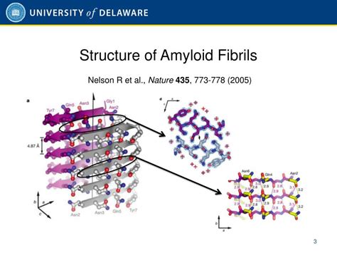 PPT - Perturbation of the Stability of Amyloid Fibrils through ...