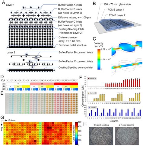 A Microbioreactor array photomask design, with key features marked. B... | Download Scientific ...