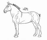 Draft Horse Coloring Pages sketch template