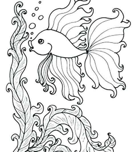 Coloring Pages For Adults Fish at GetDrawings | Free download