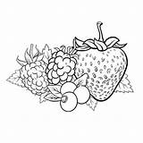 Berries Coloring Pages sketch template