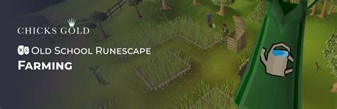 1-99 OSRS Farming Guide: Mastering the Art of Harvesting - Chicks Gold