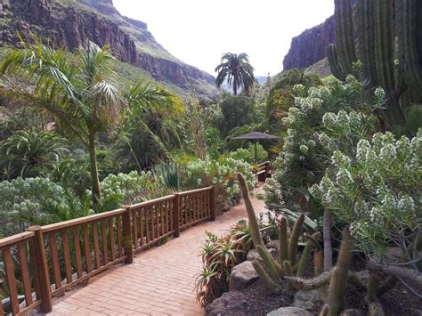 Palmitos park på Gran Canaria.