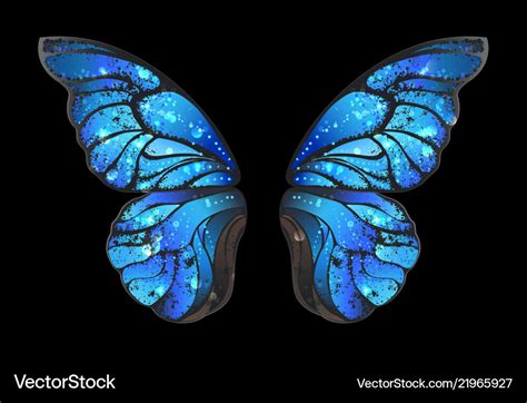 Blue butterfly wings Royalty Free Vector Image