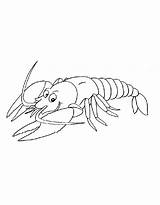 Sea Animals Coloring Pages Free Printable PDF sketch template