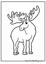 15 Moose Coloring Pages 100% Free Printables sketch template