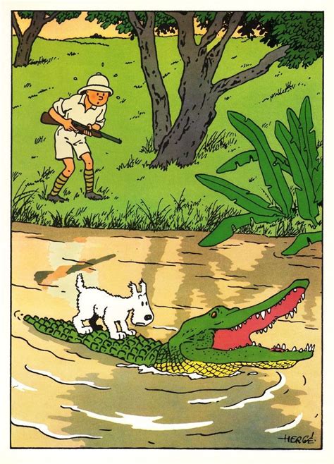 milou crocodile snowy tintin congo | Tintin, Comic illustration, Cartoon