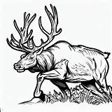 Wildlife Elk Coloring Pages  For Kids – Smart Creative And Fun sketch template