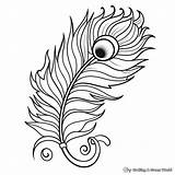 Peacock Coloring Pages For Adults  Free & Printable sketch template