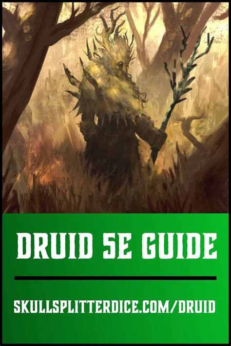 Druids are cool. They live in the forest, away from all of the hustle and bustle of cities. They ...